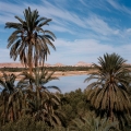 019siwa