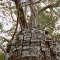 angkor_efeo012