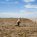 Les derniers mÃ¨tres avant de rejoindre les embarcations. La plantation de mangroves est situÃ©e sur la rive gauche de la riviÃ¨re LEN, Ã  son embouchure.