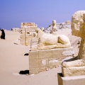 egypt029