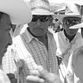 wayuu024