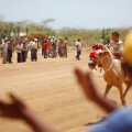 wayuu034