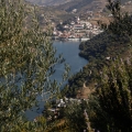 douro008