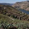 douro009