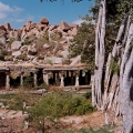 037hampi