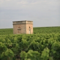 margaux025