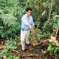 013amazonie