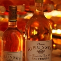 rieussec016