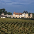 yquem007